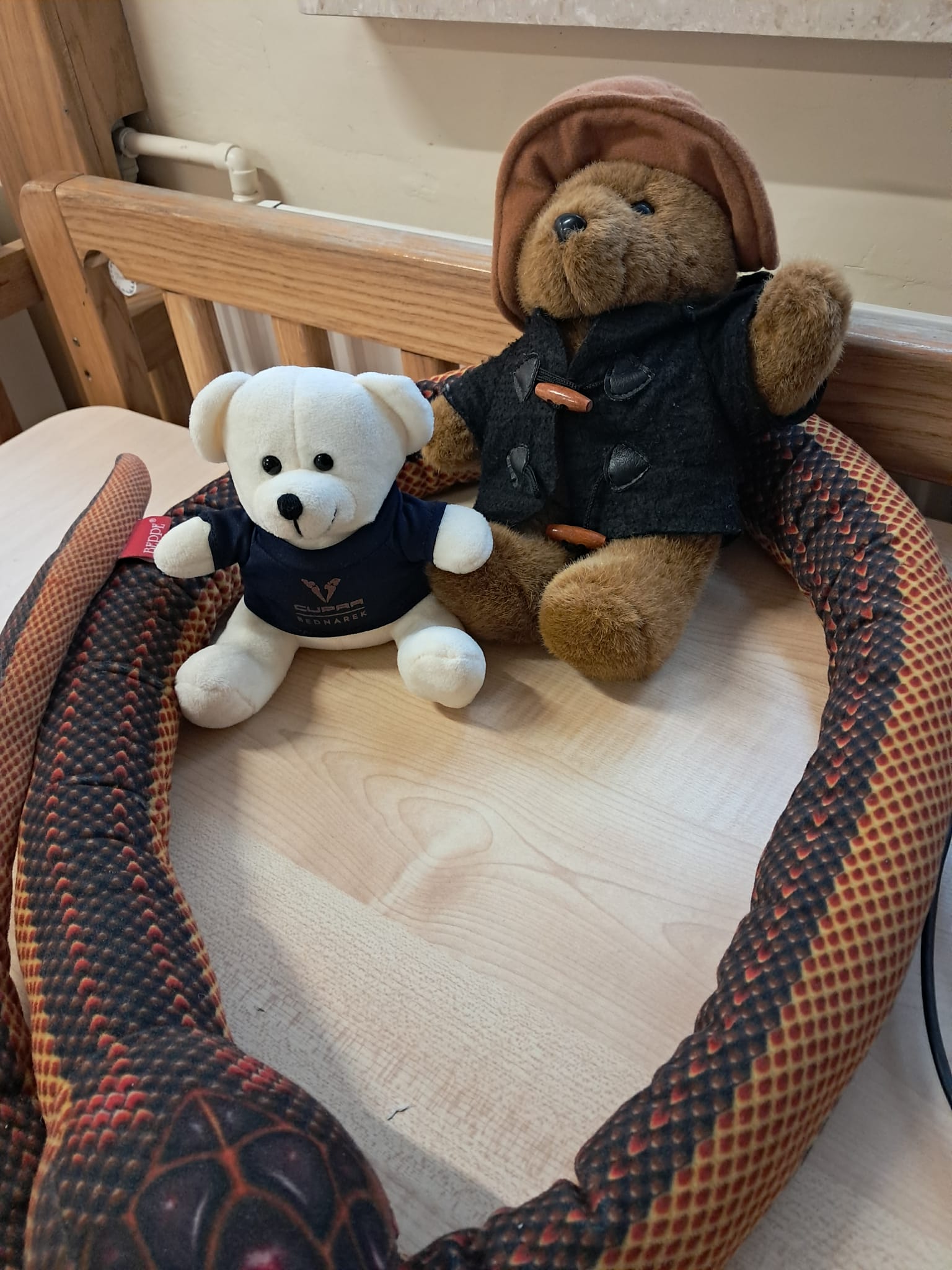 Dzień Pluszowego Misia